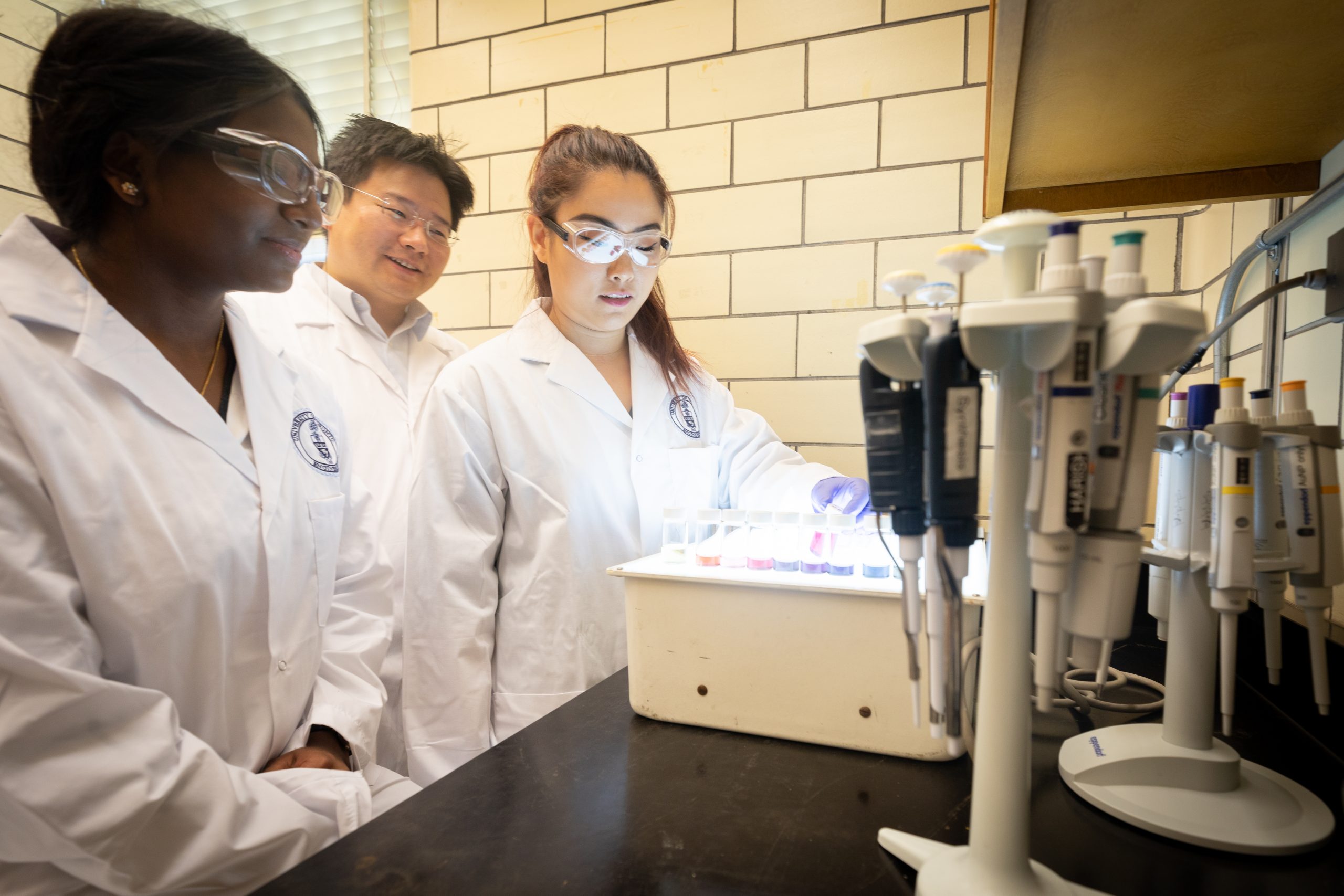 summer undergraduate research opportunities